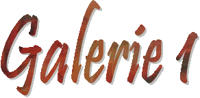 Accs Galerie n1 - La Femme Flamme
