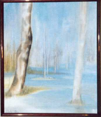 Marais mouill