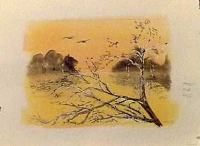 Branches d'automne
